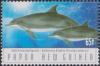 Colnect-3132-688-Two-Indo-Pacific-Bottlenose-Dolphins-Tursiops-aduncus.jpg