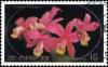 Colnect-3571-902-Cattleya-loddigesii.jpg