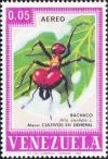 Colnect-889-009-Leafcutter-Ant-Atta-sexdens.jpg