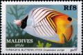 Colnect-4172-544-Threadfin-Butterflyfish-Chaetodon-auriga.jpg