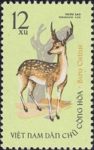 Colnect-6312-193-Spotted-Deer-Axis-axis.jpg