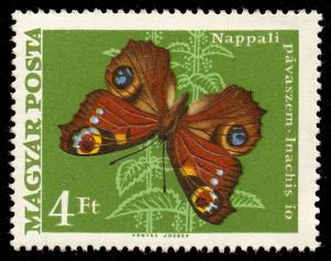 1973_Moth_Butterfly_400.jpg