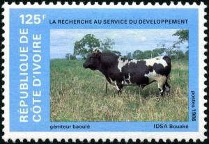 Colnect-2739-094-Domestic-Cattle-Bos-primigenius-taurus.jpg