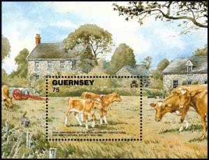 Colnect-5583-838-Guernsey-Cattle-Bos-primigenius-taurus.jpg