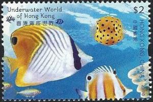 Colnect-5956-460-Threadfin-Butterflyfish---Yellow-Boxfish.jpg
