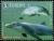 Colnect-5748-633-Bottle-nosed-dolphin.jpg