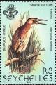 Colnect-1721-635-Yellow-Bittern-Ixobrychus-sinensis.jpg