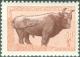 Colnect-3156-294-Mongolian-Cattle-Bos-primigenius-taurus.jpg