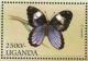 Colnect-6024-598-Owl-Butterfly-Caligo-martia.jpg