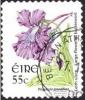 Colnect-5099-612-Large-flowered-Butterwort---Pinguicula-grandiflora.jpg