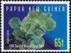 Colnect-2576-457-Porous-Lettuce-Coral-Oxypora-glabra.jpg
