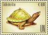 Colnect-5349-561-Assam-roofed-turtle-Pangshura-sylhetensis.jpg
