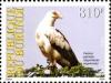 Colnect-962-082-Palm-nut-Vulture-Gypohierax-angolensis.jpg