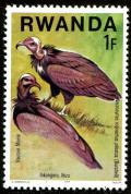 Colnect-1489-756-Hooded-Vulture-Necrosyrtes-monachus.jpg