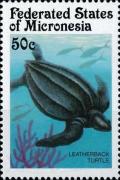 Colnect-5576-512-Leatherback-turtle-Dermochelys-coriacea.jpg