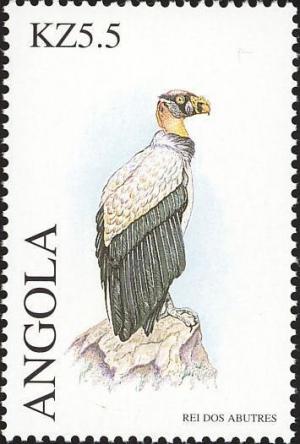 Colnect-1240-331-King-Vulture-Sarcorhamphus-papa.jpg