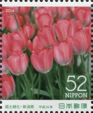 Colnect-3047-084-Garden-Tulip-Tulipa-gesneriana.jpg