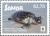 Colnect-4411-823-Hawksbill-sea-turtle-Eretmochelys-imbricata.jpg