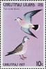 Colnect-5845-483-Two-turtle-doves.jpg