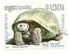 Colnect-1420-928-Aldabra-Giant-Tortoise-Testudo-gigantea.jpg