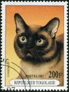 Colnect-2618-416-Tonkin-Cat-Felis-silvestris-catus.jpg