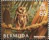 Colnect-2882-902-Northern-Saw-whet-Owl-Aegolius-acadicus---Forest.jpg