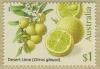 Colnect-6005-581-Desert-Lime-Citrus-glauca.jpg