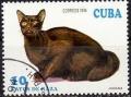 Colnect-1118-265-Havana-Cat-Felis-silvestris-catus.jpg
