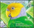 Colnect-3742-537-Song-Parrot-Geoffroyus-heteroclitus.jpg