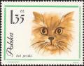 Colnect-452-119-Persian-Cat-Felis-silvestris-catus.jpg