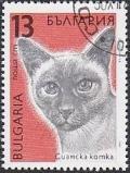 Colnect-819-997-Siamese-Cat-Felis-silvestris-catus.jpg