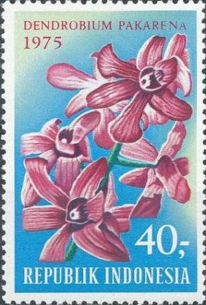 Colnect-1137-372-Tourist--Indonesian-Orchids.jpg