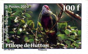Colnect-1312-931-Rapa-Fruit-Dove-Ptilinopus-huttoni.jpg