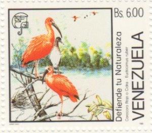 Colnect-1743-147-Scarlet-Ibis-Eudocimus-ruber.jpg