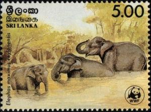 Colnect-2754-554-Ceylon-Elephant-Elephas-maximus-ceylonensis-.jpg