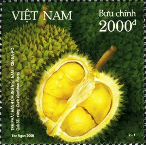 Colnect-610-255-Durian-Fruit---Durio-zibethinus-Muray.jpg