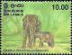 Colnect-6265-353-Ceylon-Elephant-Elephas-maximus-ceylonensis.jpg