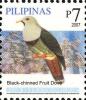Colnect-2876-033-Black-chinned-Fruit-Dove-nbsp-Ptilinopus-leclancheri.jpg