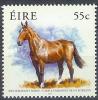Colnect-1047-956-Irish-Draught-Horse-Equus-ferus-caballus.jpg