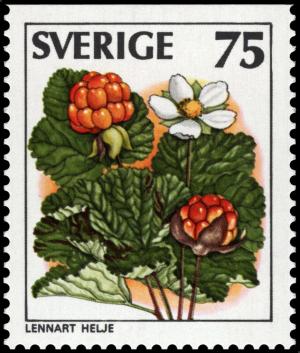 Colnect-4337-589-Rubus-chamaemorus.jpg