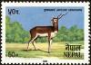 Colnect-4972-296-Black-Buck-Antilope-cervicapra.jpg