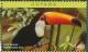 Colnect-4634-620-Toco-Toucan----Ramphastos-toco.jpg