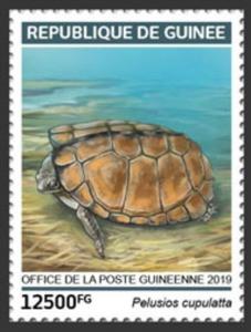 Colnect-5975-405-Ivory-Coast-Mud-Turtle-Pelusios-cupulatta.jpg