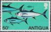 Colnect-1451-338-Atlantic-Bluefin-Tuna-Thunnus-thynnus.jpg