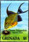 Colnect-4503-195-Queen-triggerfish.jpg