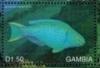 Colnect-4896-567-Blue-chin-parrotfish.jpg