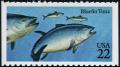 Colnect-4840-185-Atlantic-Bluefin-Tuna-Thunnus-thynnus.jpg