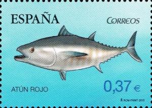 Colnect-2248-269-Atlantic-Bluefin-Tuna-Thunnus-thynnus.jpg