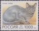 Colnect-1830-113-Russian-Blue-Felis-silvestris-catus.jpg