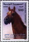 Colnect-557-350-Arabian-Thorougbred-Equus-ferus-caballus.jpg
